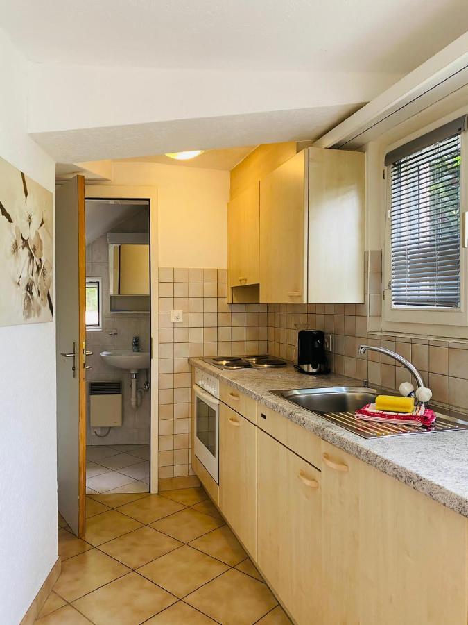Casa Sibylle Studio - Piccolo Paradiso Minusio Buitenkant foto