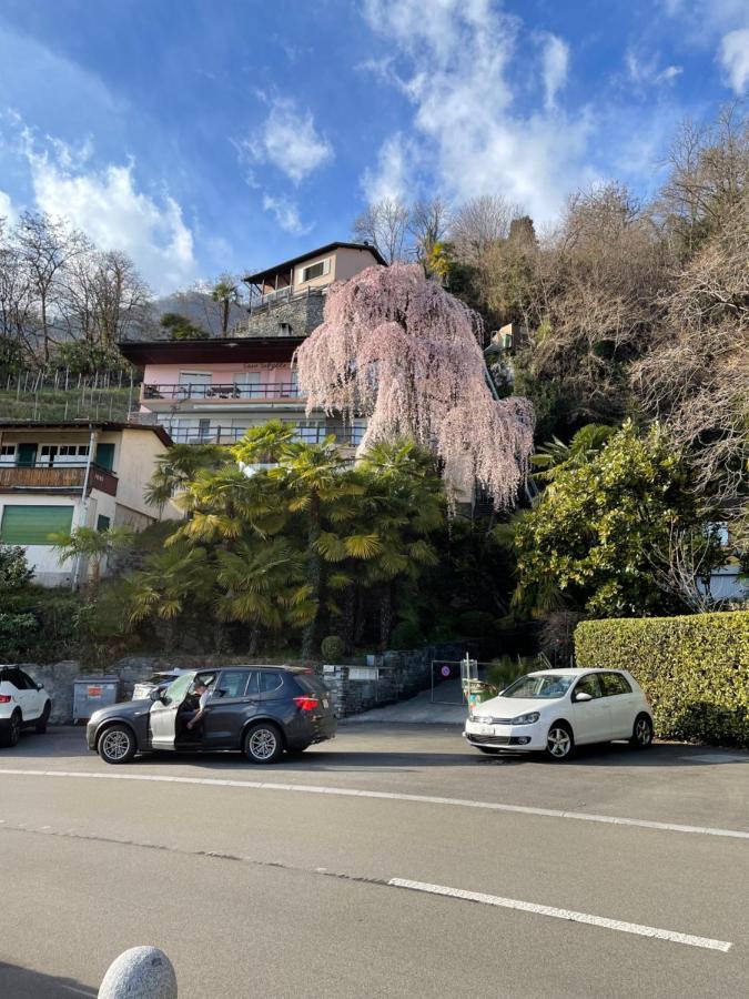 Casa Sibylle Studio - Piccolo Paradiso Minusio Buitenkant foto